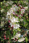 concours-120407-chateauxdelaloire-img_0199.jpg