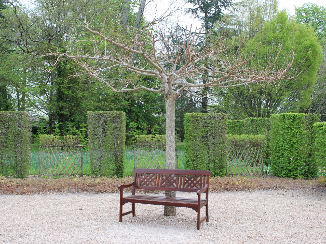 concours-120407-chateauxdelaloire-img_0139.jpg