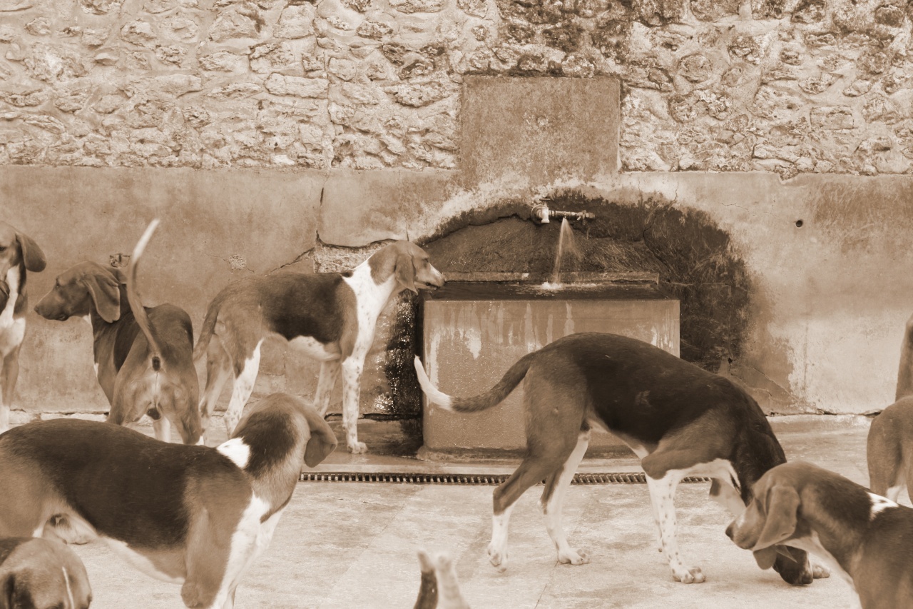 concours-120407-chateauxdelaloire-img_0246.jpg
