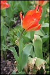 concours-120407-chateauxdelaloire-img_0098.jpg