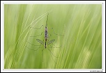T4C8963