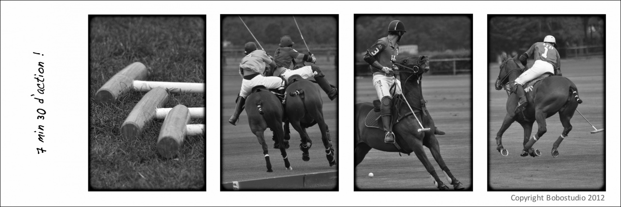 polo