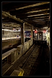 Lequel choisir?-3779.jpg