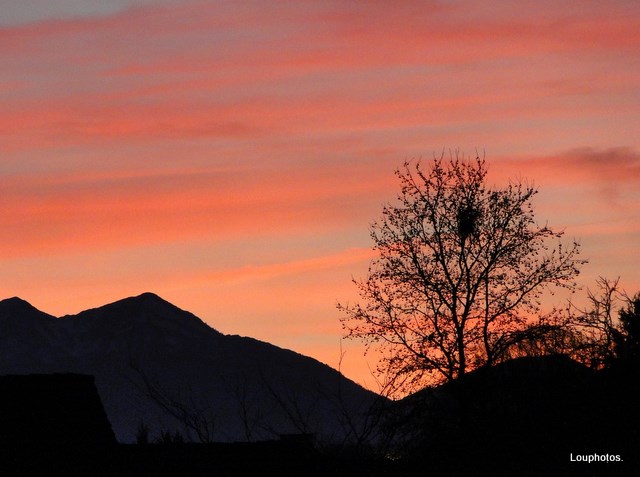 Coucher de soleil,hiver2010.