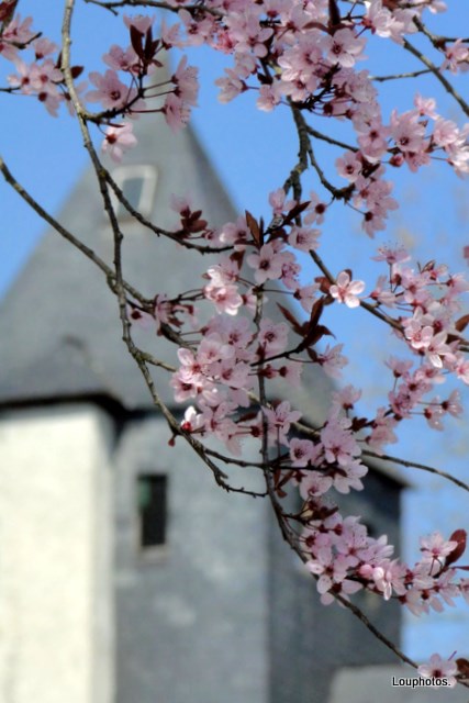 Printemps..!!