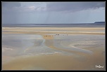-img_1665-1.jpg