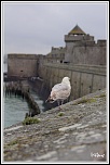 -img_1934-1.jpg