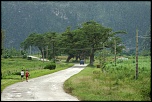 -dscf3534.jpg