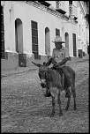 -dscf4722.jpg