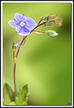 Protection ecran LCD-5d_4307-cs-cadre2.jpg