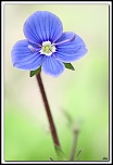 Protection ecran LCD-5d_4219-cs-2-cadre2.jpg