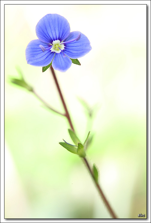 Protection ecran LCD-5d_4216-cs-2-cadre2.jpg