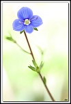 Protection ecran LCD-5d_4216-cs-2-cadre2.jpg