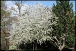 IMG 3590