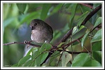 IMG 4144 GForum