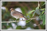 IMG 4648 GForum