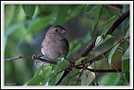 IMG 4147 GForum