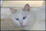 -img_6282.jpg