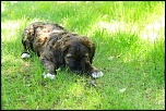 -img_6258-bis.jpg