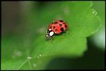 IMG 7992 1
