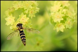 IMG 7998 1