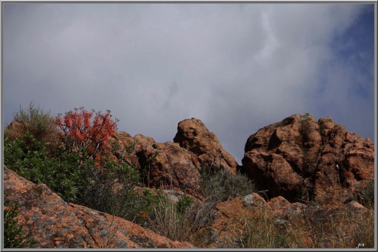 Avez vous le canon 28/105 USM-corse-mai-2012.jpg