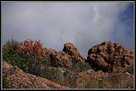 Avez vous le canon 28/105 USM-corse-mai-2012.jpg