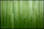 firmware-nherberaudepaintredim.jpg