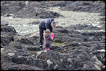 -120429-bretagnesud1204300793.jpg