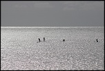 -120429-bretagnesud1204300798.jpg