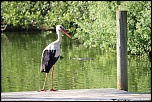 -120513-parcdesoiseaux-photos-201.jpg