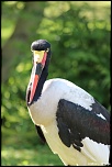 -120513-parcdesoiseaux-photos-148.jpg