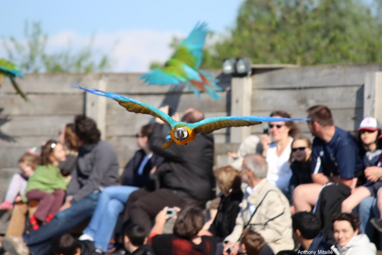 -120513-parcdesoiseaux-photos-163.jpg