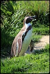 -120513-parcdesoiseaux-photos-129.jpg