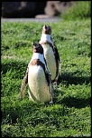 -120513-parcdesoiseaux-photos-183.jpg