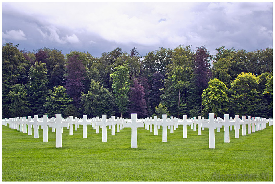 cartes memoires en vacance-patton2web2.jpg