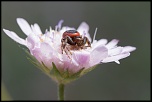 -31052012-img_4512.jpg