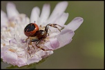 -31052012-img_4501.jpg