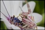 -14052011-img_0399.jpg