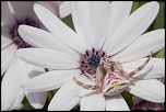 -14052011-img_0389.jpg
