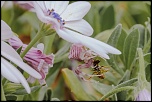 -14052011-img_0411.jpg
