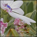 -14052011-img_0411-modifier.jpg