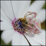 -14052011-img_0410.jpg