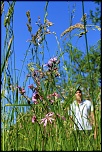 -img_0344.jpg