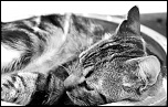 -img_0177.jpg