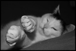 -img_08571.jpg