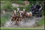 -img_1414.jpg