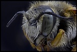 -2012-06-13-18.36.59-zs-final.jpg