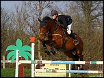 -img_7291.jpg