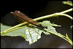-img_1837.jpg
